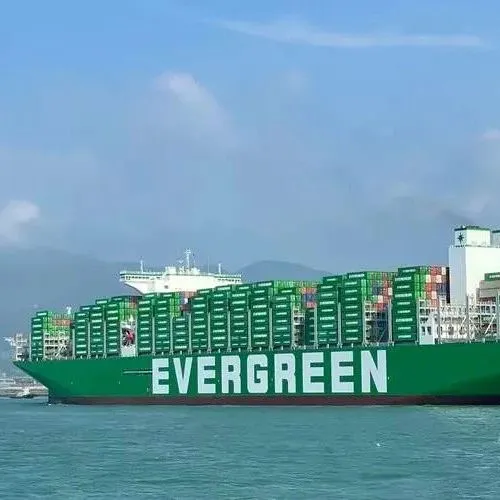 长荣再发年中分红，人均56.6万！看好下半年海运市场