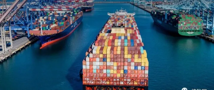 最低只有11.5%！船公司船期可靠性降至历史最低（附船公司船期可靠性排名）