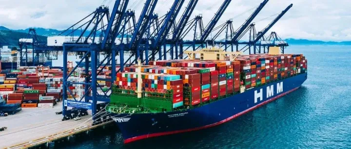 HMM上半年净利润同比增长近16倍！全球供应链仍然紧张