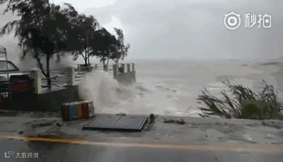 关注丨今年最大台风中午横扫华南，今晚22:00后各大港口将陆续恢复正常作业！