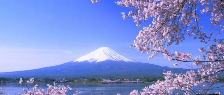 都2021年了还不了解亚马逊日本站？今年日本站的核心优惠都在这篇了！