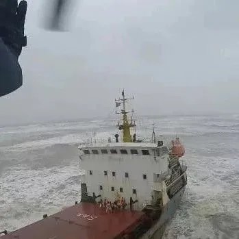 突发！超强台风中，货轮主机失控搁浅！