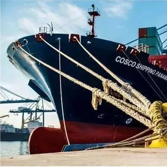 一天内发布24条航线，这家船公司还能再牛B一点吗？