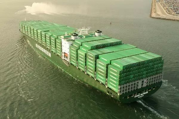 重磅丨开年收到1200万美金罚单，只因这家船公司串通控制海运费！