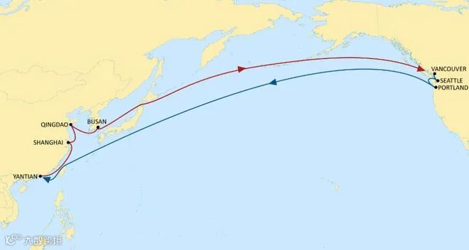 航运资讯 | MSC更新两航线港口挂靠；香港破获史上最大货物走私案！