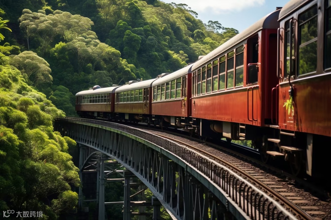 船司亏损加剧，欧线运价大跌！