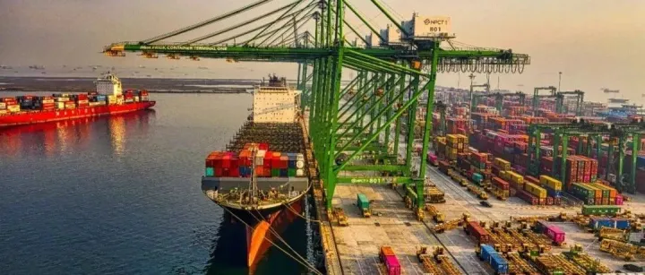 重磅！MSC、马士基、达飞等九家大型航运公司共同签署这一承诺