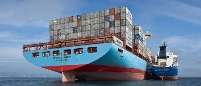 利润丰厚！船公司争相把运力投入跨太平洋航线