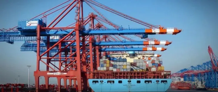 马士基和MSC受到该国港口码头协会的指控