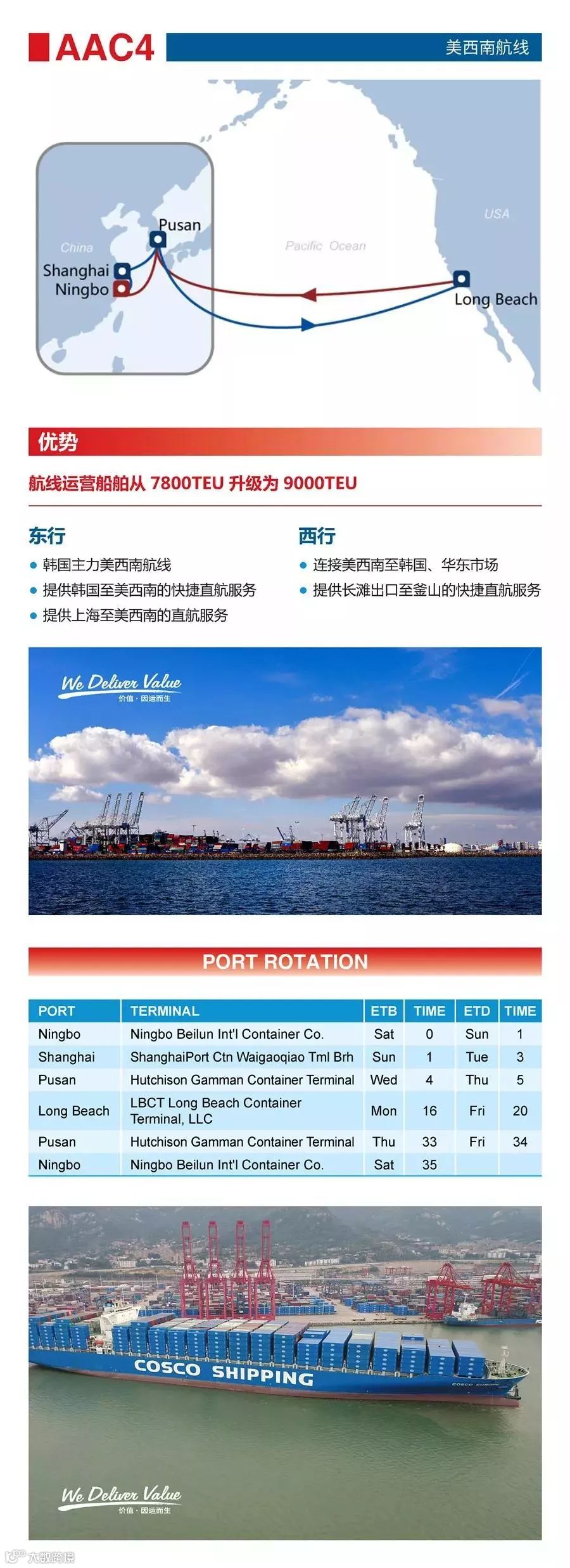 一天内发布24条航线，这家船公司还能再牛B一点吗？