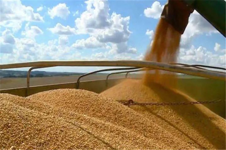 中国自美进口农产品大涨67%！猪肉增长223.8%、大豆增长56.3%……