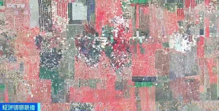 集装箱拉运800多万件假证,重量超20吨,这个假证商贩有点厉害