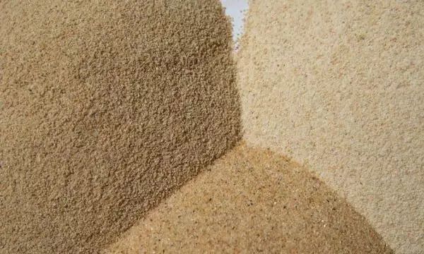 哪些货物必须到指定口岸报关出口？