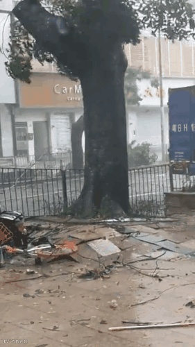 超强台风“利奇马”逼停中国第一大第二港,下周各大口岸将迎大面积船期延误!!