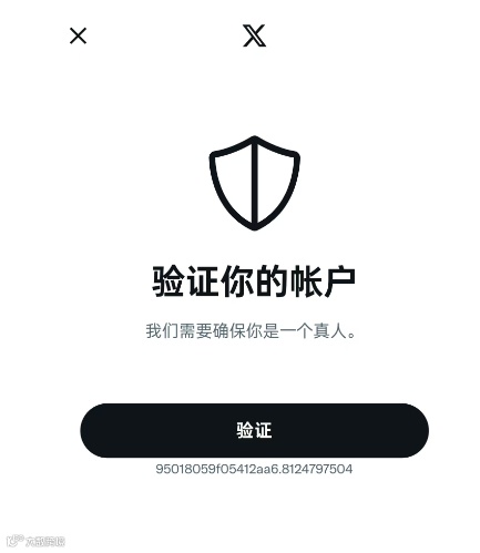 Twitter（X）2024最新注册教程