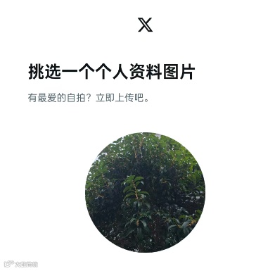 Twitter（X）2024最新注册教程