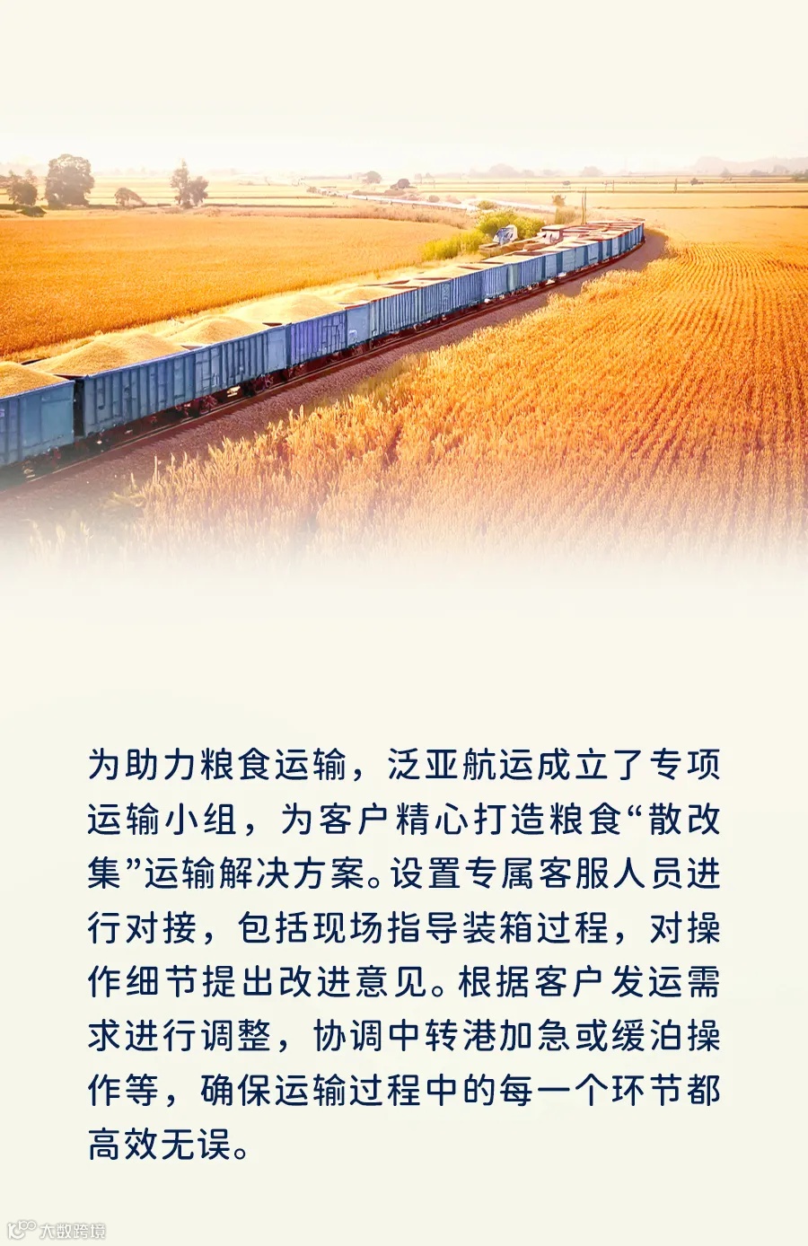 集装箱物流，用心守护每一粒粮食