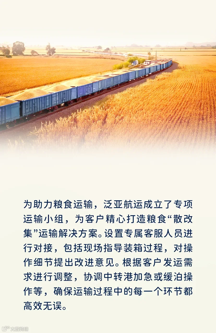 集装箱物流，用心守护每一粒粮食