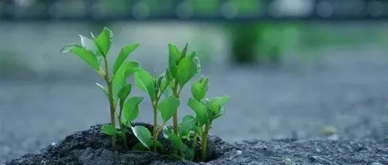 如果ChatGPT出现在10年前，我的专业大概率白学了！