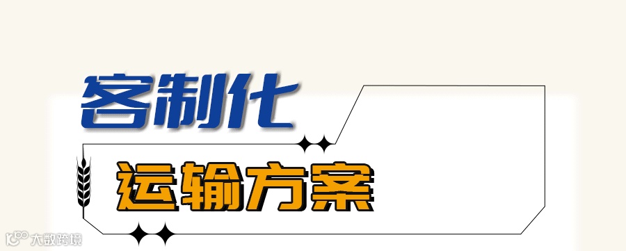 集装箱物流，用心守护每一粒粮食