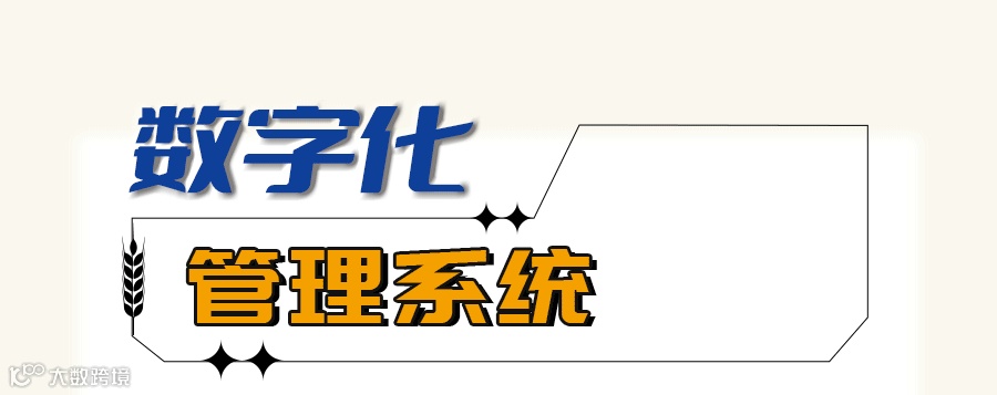 集装箱物流，用心守护每一粒粮食