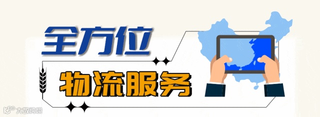 集装箱物流，用心守护每一粒粮食