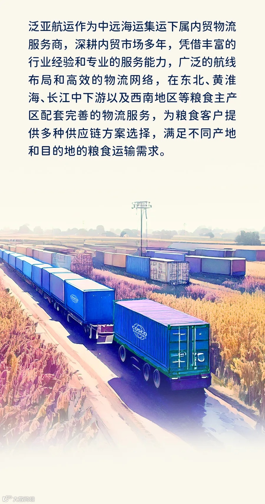 集装箱物流，用心守护每一粒粮食