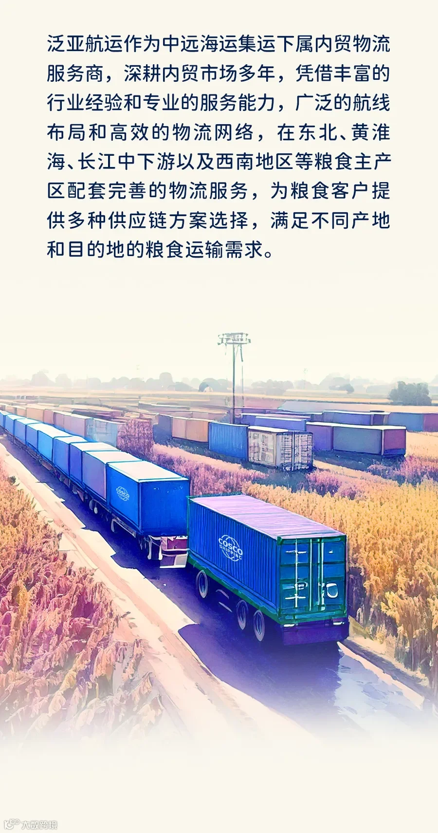 集装箱物流，用心守护每一粒粮食