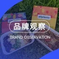 针对每个部位推出护肤品，这么麻烦的DTC品牌也能卖得好？