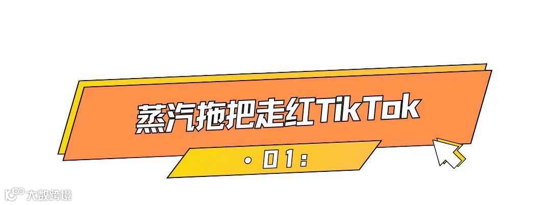 月销1.6万台，国产小家电Schenley海外被疯抢！