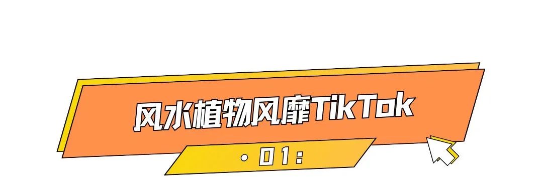 21亿次曝光，老外迷恋中国风水带来大商机！ 
