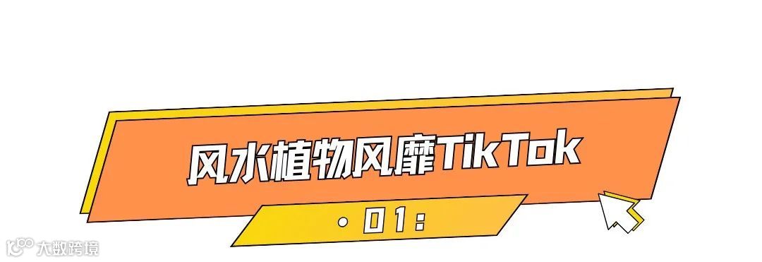 21亿次曝光，老外迷恋中国风水带来大商机！ 
