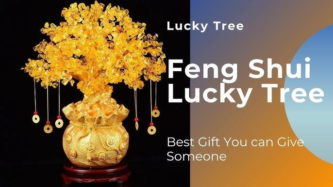 21亿次曝光，老外迷恋中国风水带来大商机！ 