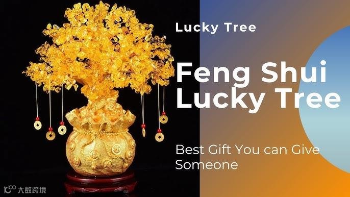 21亿次曝光，老外迷恋中国风水带来大商机！ 