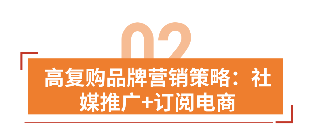 年收千万美元,老外卖中国茶火了,高复购茶叶独立站怎么做?