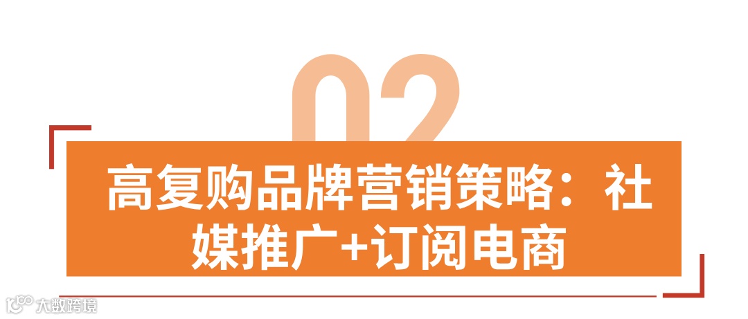 年收千万美元,老外卖中国茶火了,高复购茶叶独立站怎么做?