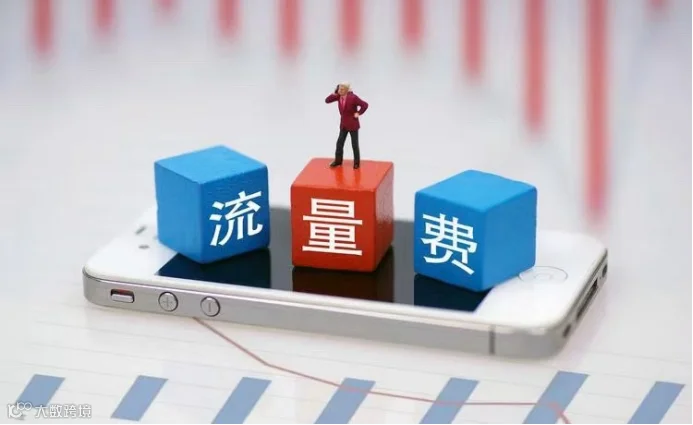 告别高价流量，这个双11变了