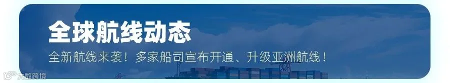 反转！情况突变！CMA CGM航线调整！放弃穿越红海？
