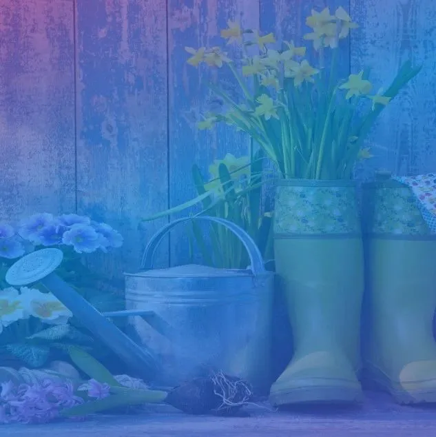 春季新商机：户外运动、庭院园艺类产品热度上涨