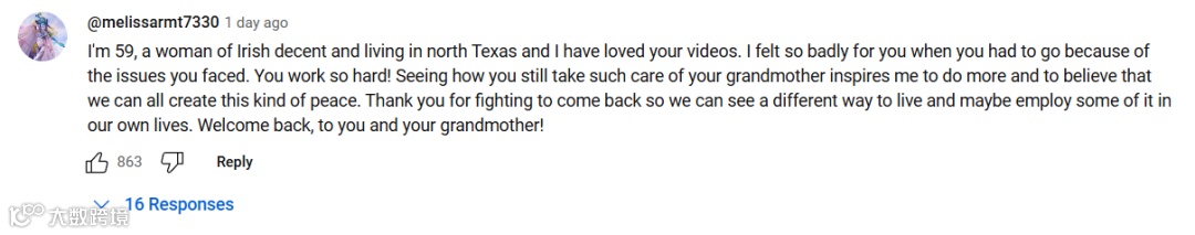 李子柒回归！外国网友哭了