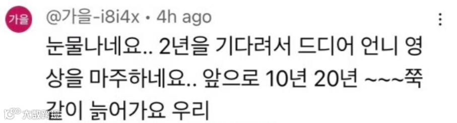 李子柒回归！外国网友哭了