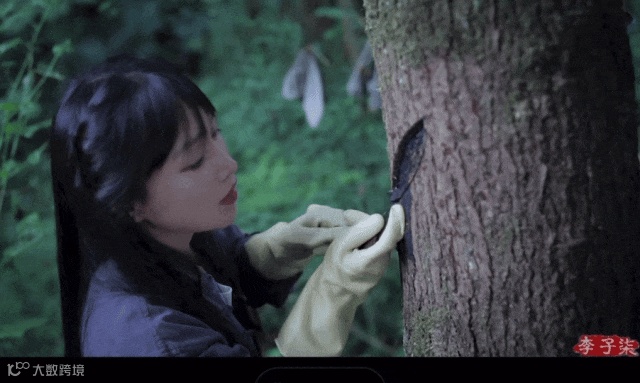 沉寂三年的李子柒，归来为啥仍是顶流？