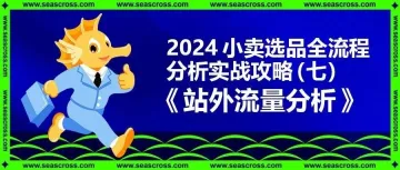 从理论到落地！2024小卖选品全流程分析实战攻略（七）：站外流量分析