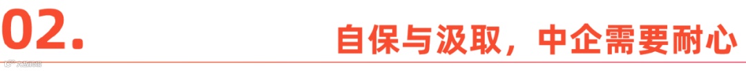 越南，成不了中国跨境商家的退路