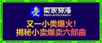 从0单到爆卖12万单，1个多月飙升小类top1！这个小卖做对了什么？