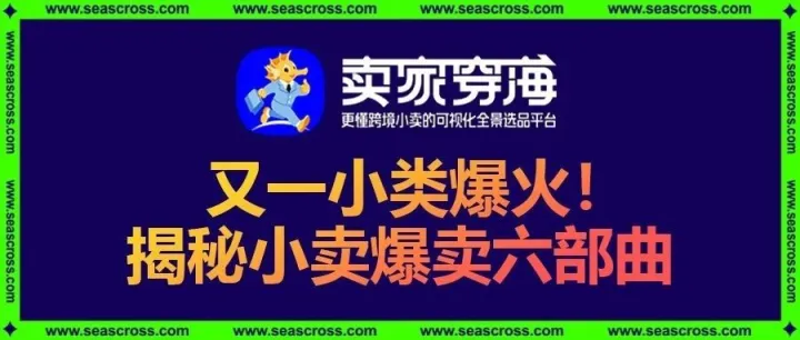 从0单到爆卖12万单，1个多月飙升小类top1！这个小卖做对了什么？