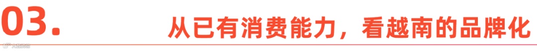 越南，成不了中国跨境商家的退路