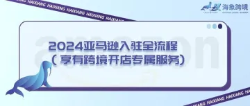 亚马逊账户异常被锁？了解原因与快速解锁指南，保障店铺正常运营！