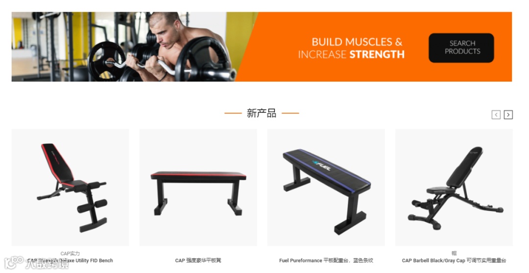 AMS律所已代理创作歌手 David Bowie!