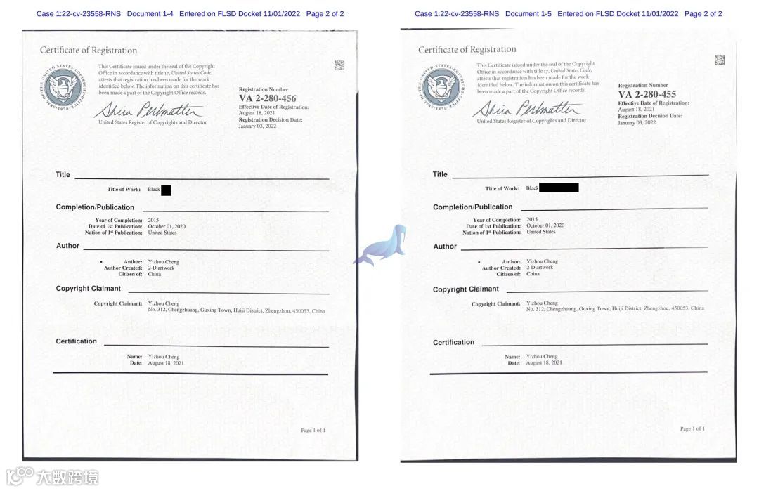 速看！African American girl 版权画已被代理，案件号：22-cv-23558